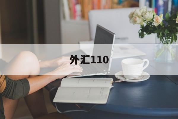 外汇110(外汇110官网在线查询)